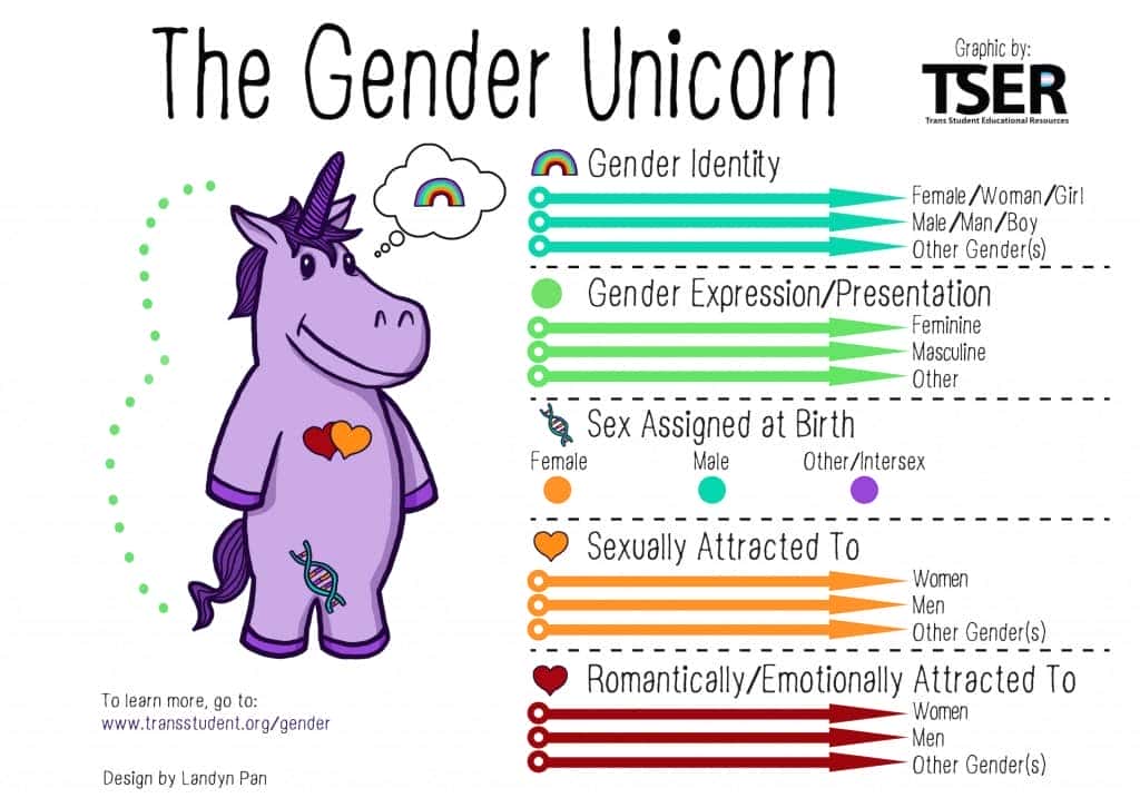 genderunicornEN-lowq